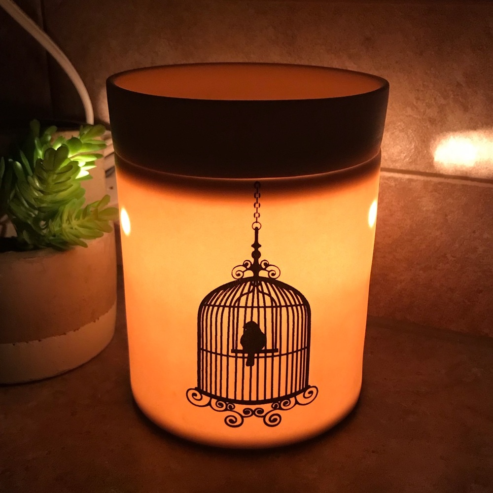 Free wax! Scentsy warmer birdcage